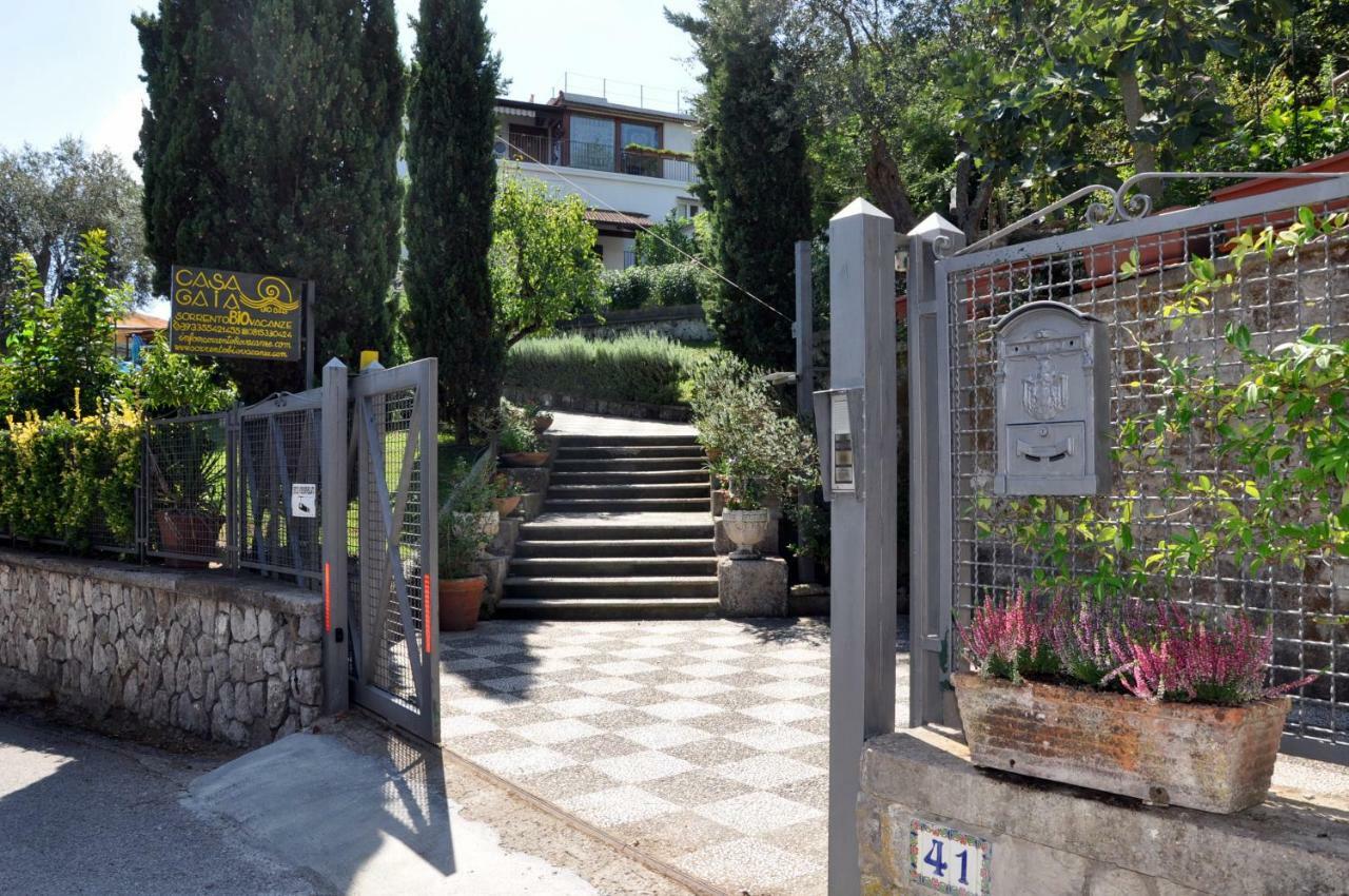 Casa Gaia Sorrento Bio Vacanze Bed & Breakfast