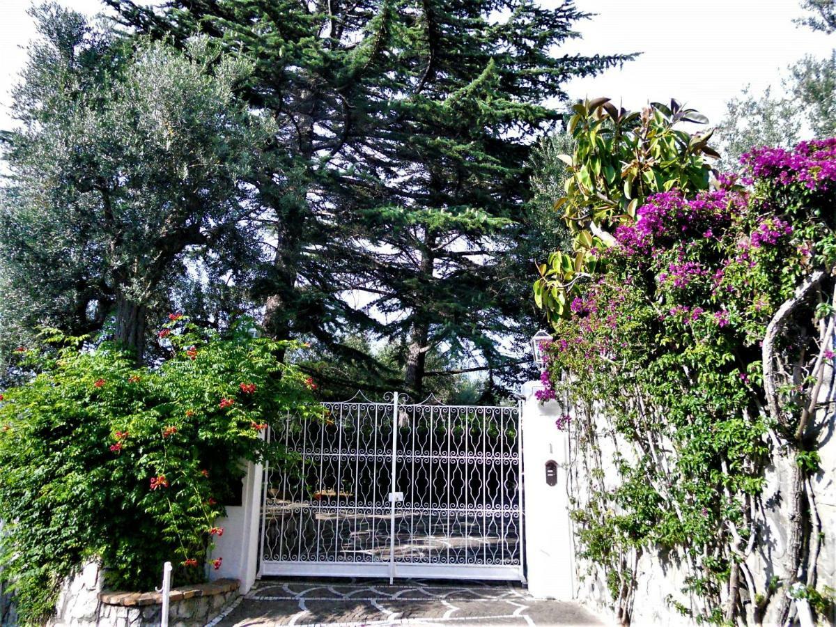 Le Olivine Apartment *