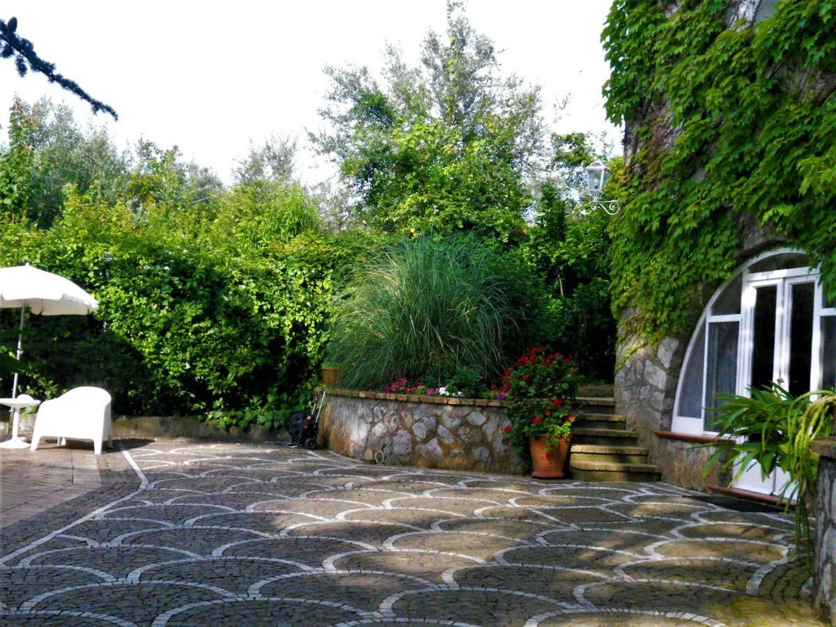 Le Olivine Apartment Sorrento