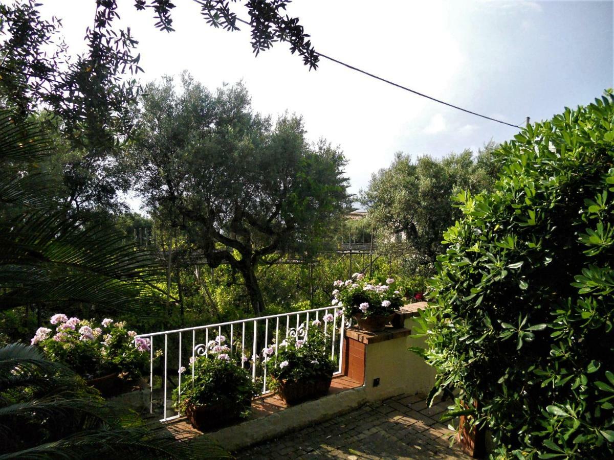 Le Olivine Apartment Sorrento