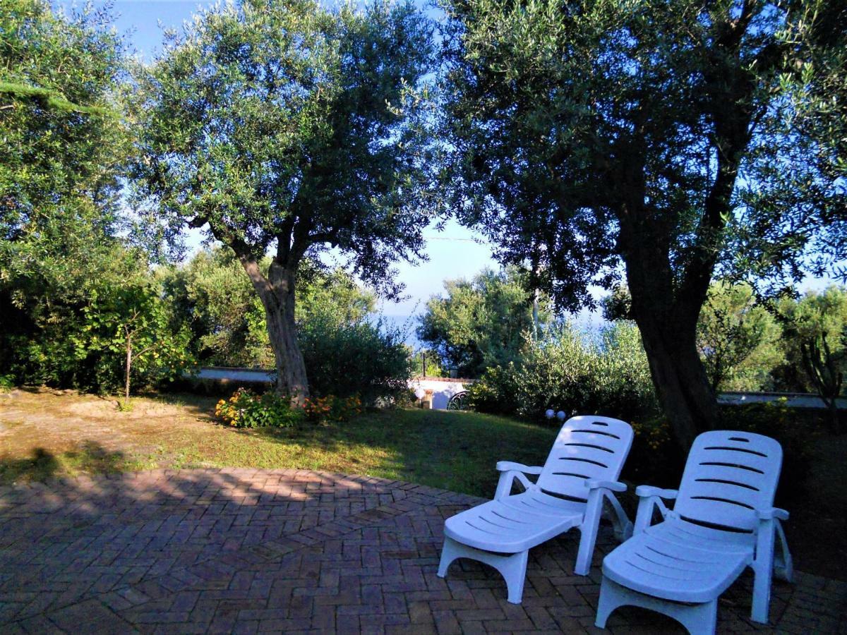 Le Olivine Apartment