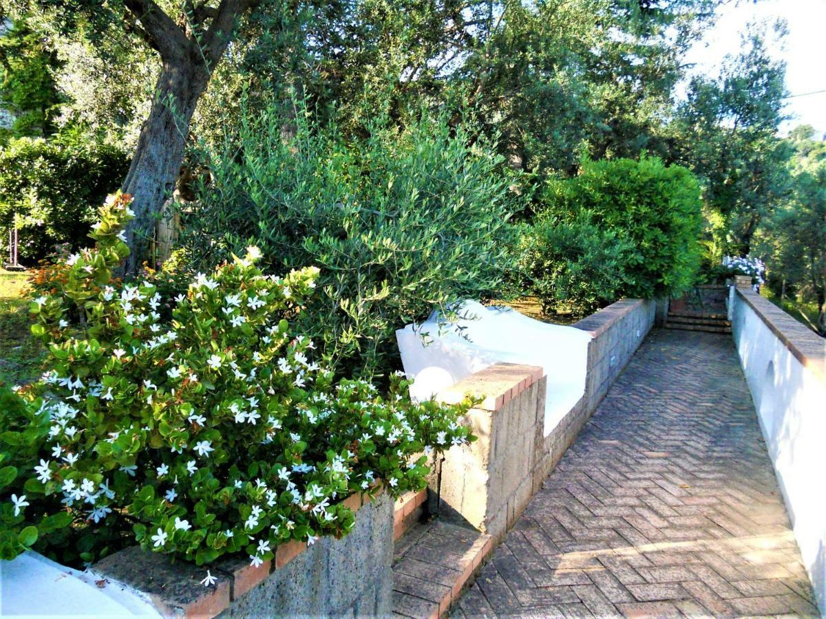 Le Olivine Sorrento