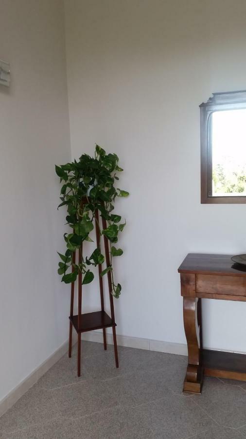 Bed & Breakfast Casa Carolina Sorrento