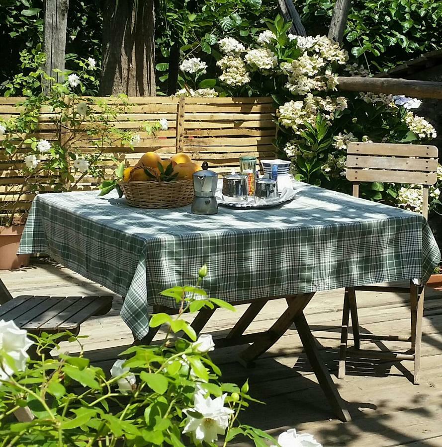 Casa Carolina Bed & Breakfast Sorrento