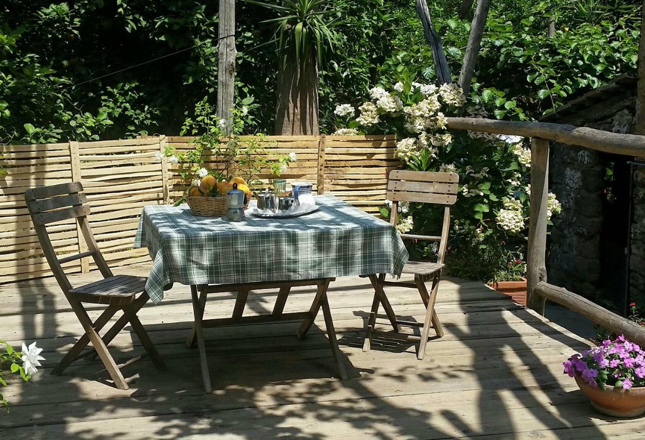 Casa Carolina Bed & Breakfast *
