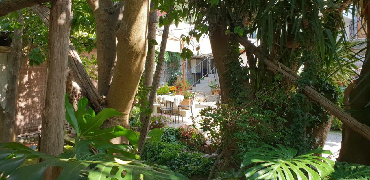 Casa Carolina Bed & Breakfast