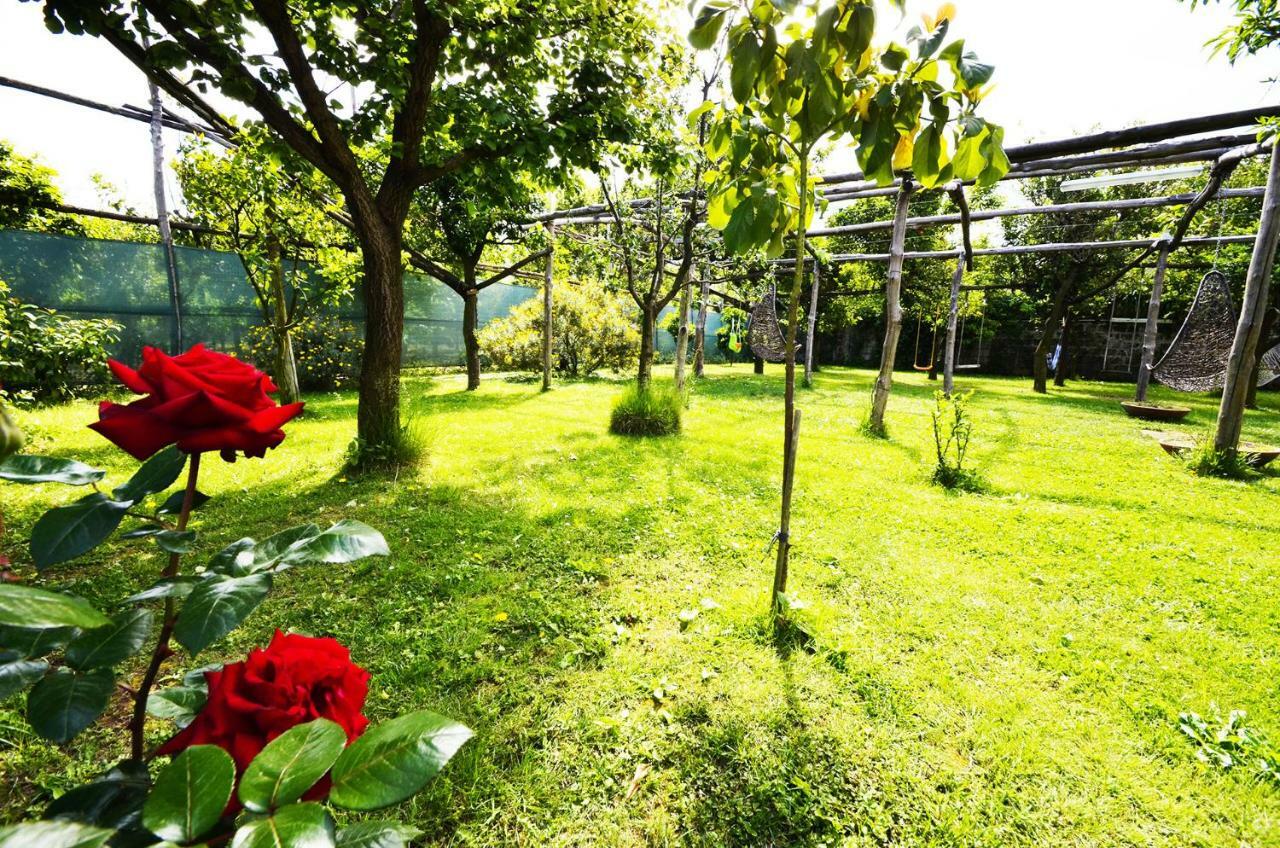 Villa Limoneto B *