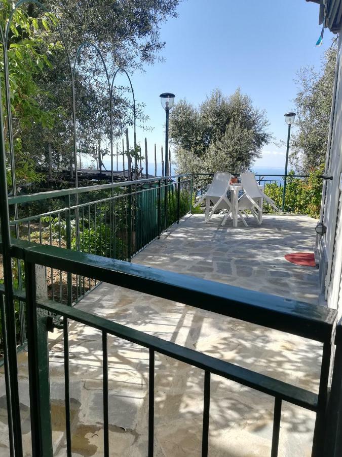 Casa Vacanza L'ulivo Holiday home Sorrento