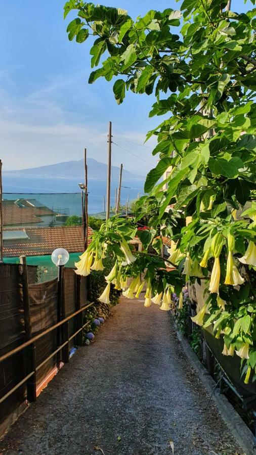 Holiday home Casa Vacanza L'ulivo Sorrento