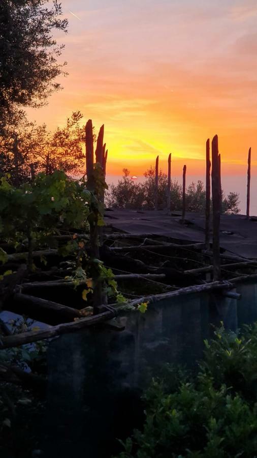Casa Vacanza L'ulivo *