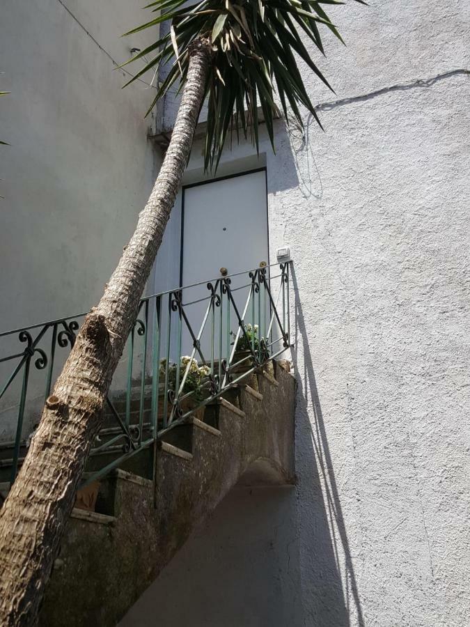My Sorrento