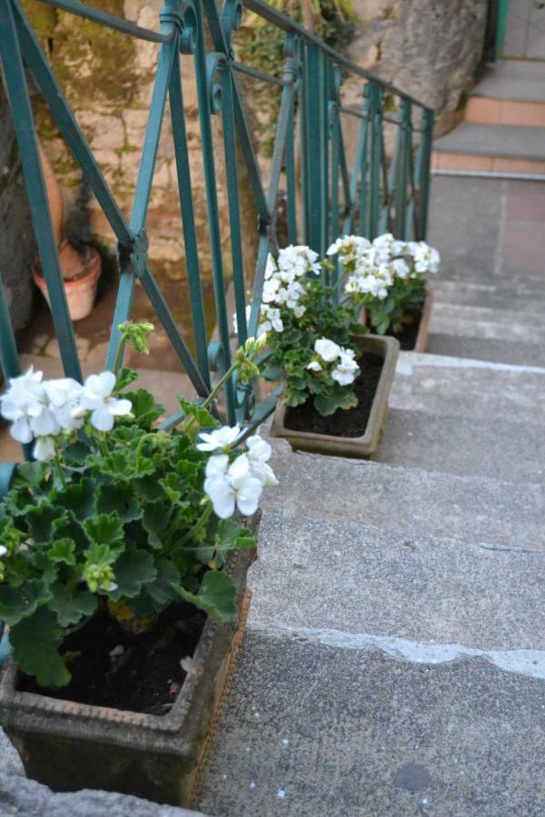 My Apartment Sorrento