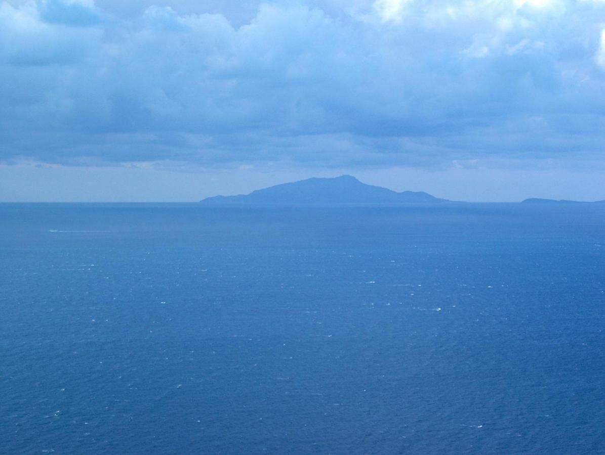 Terrazza Felicienne Apartment Sorrento