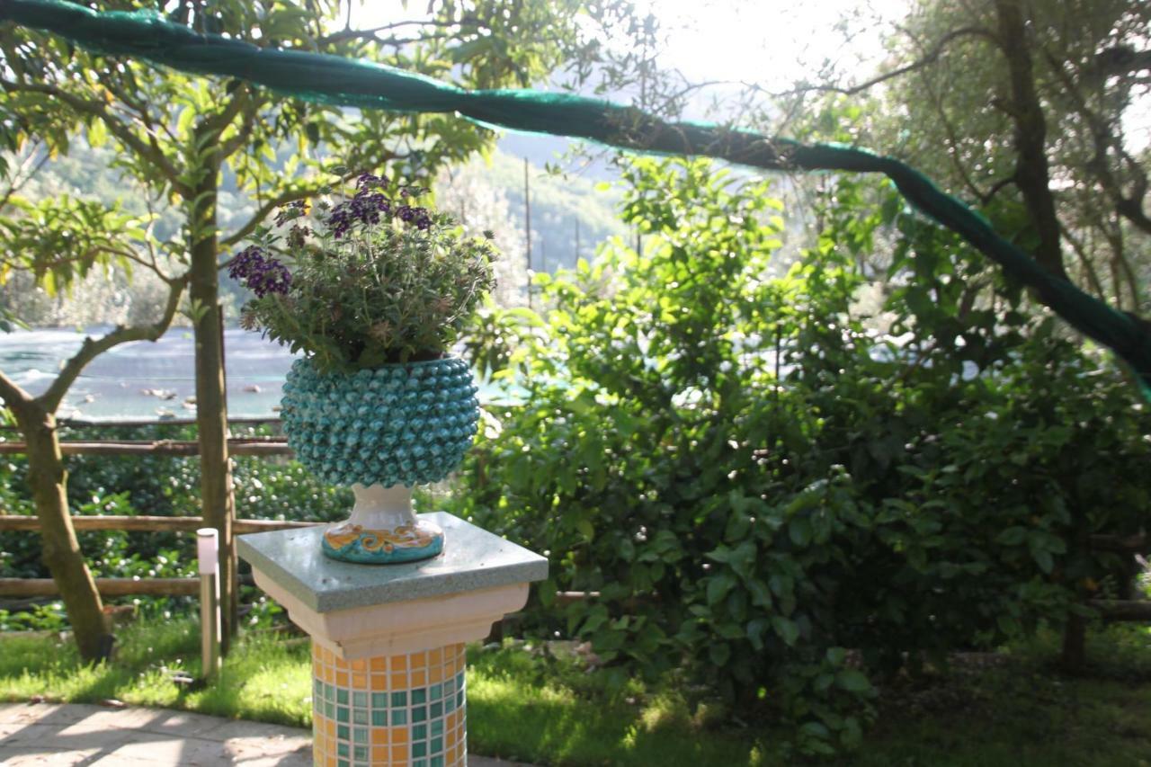 Casa Aprea * Sorrento