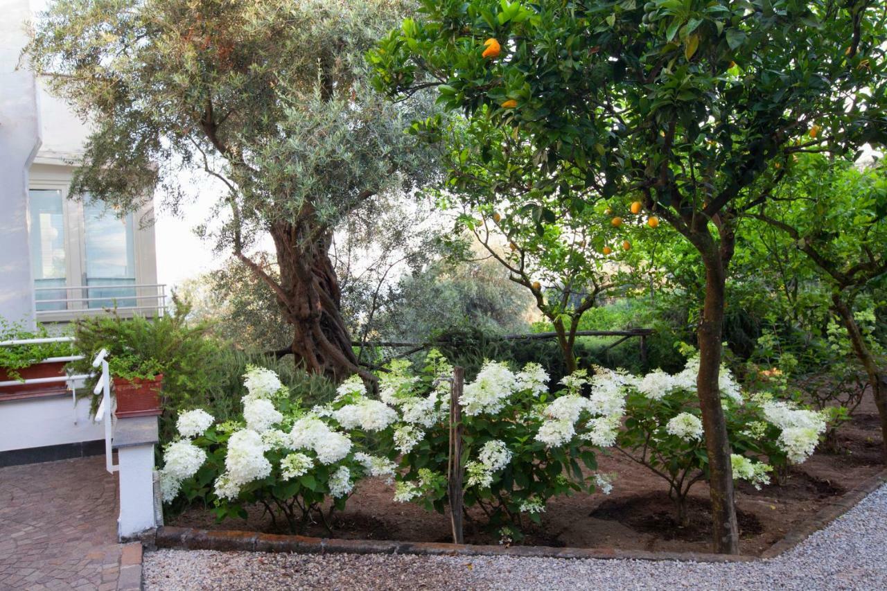 Bed & Breakfast Oriana Relais