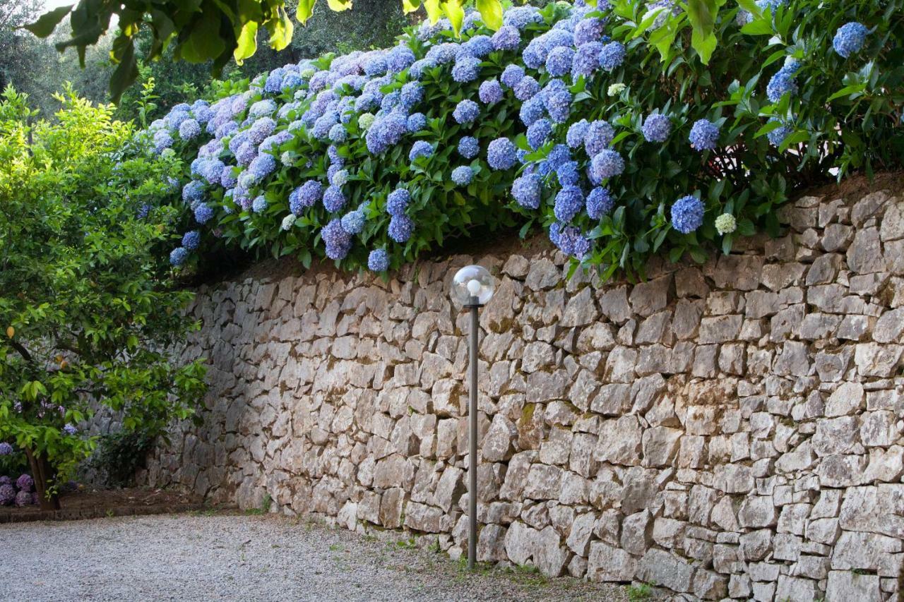 Bed & Breakfast Oriana Relais