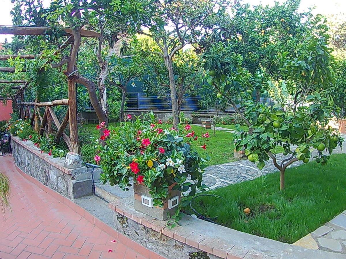 Bed & Breakfast Sweet
