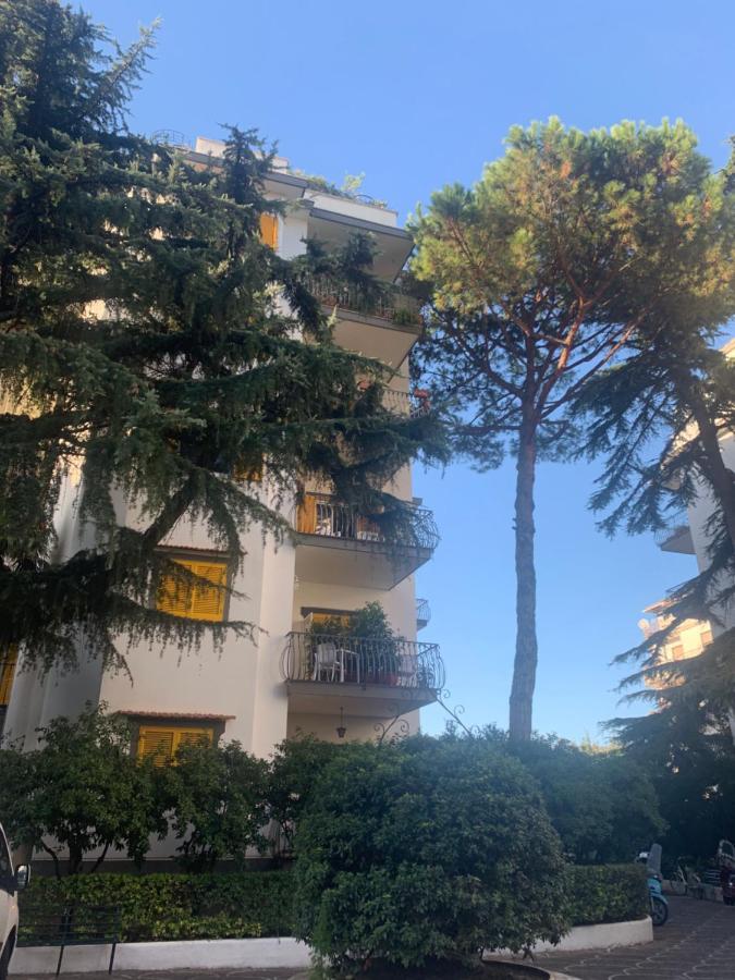 Gea * Sorrento