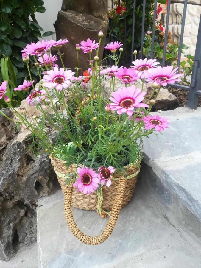 Casa Vacanza L'ulivo *