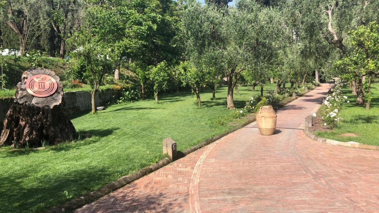 Guest house Zagara - La Serra