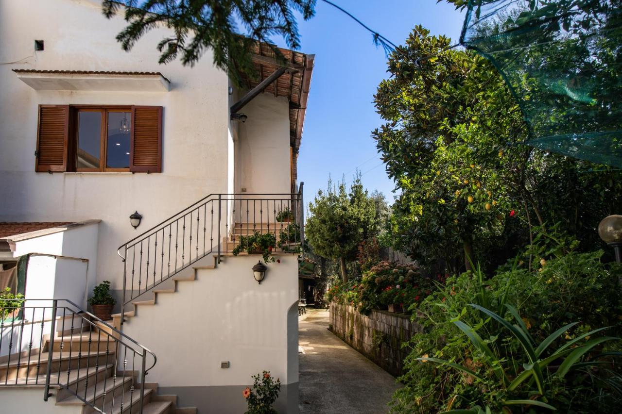 Mediterranean House Holiday home Sorrento