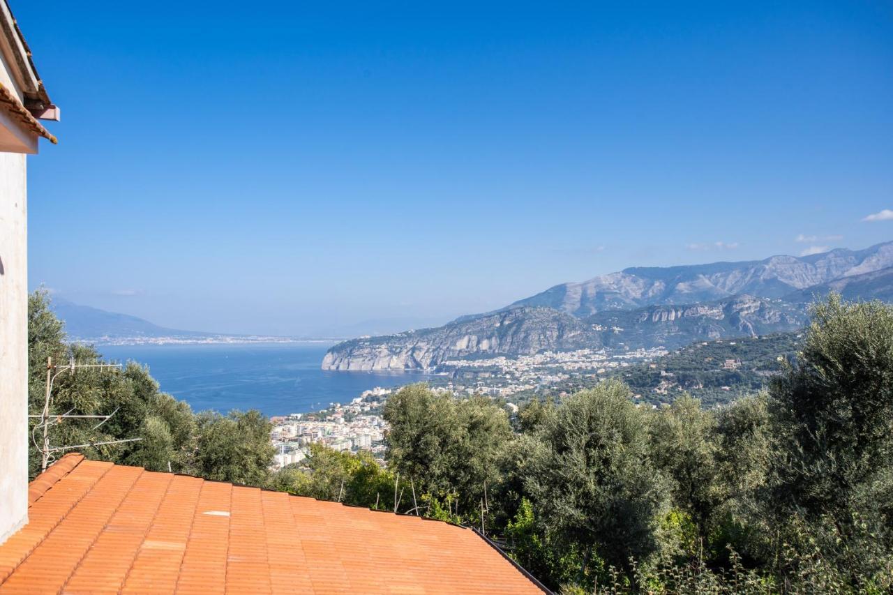 Mediterranean House