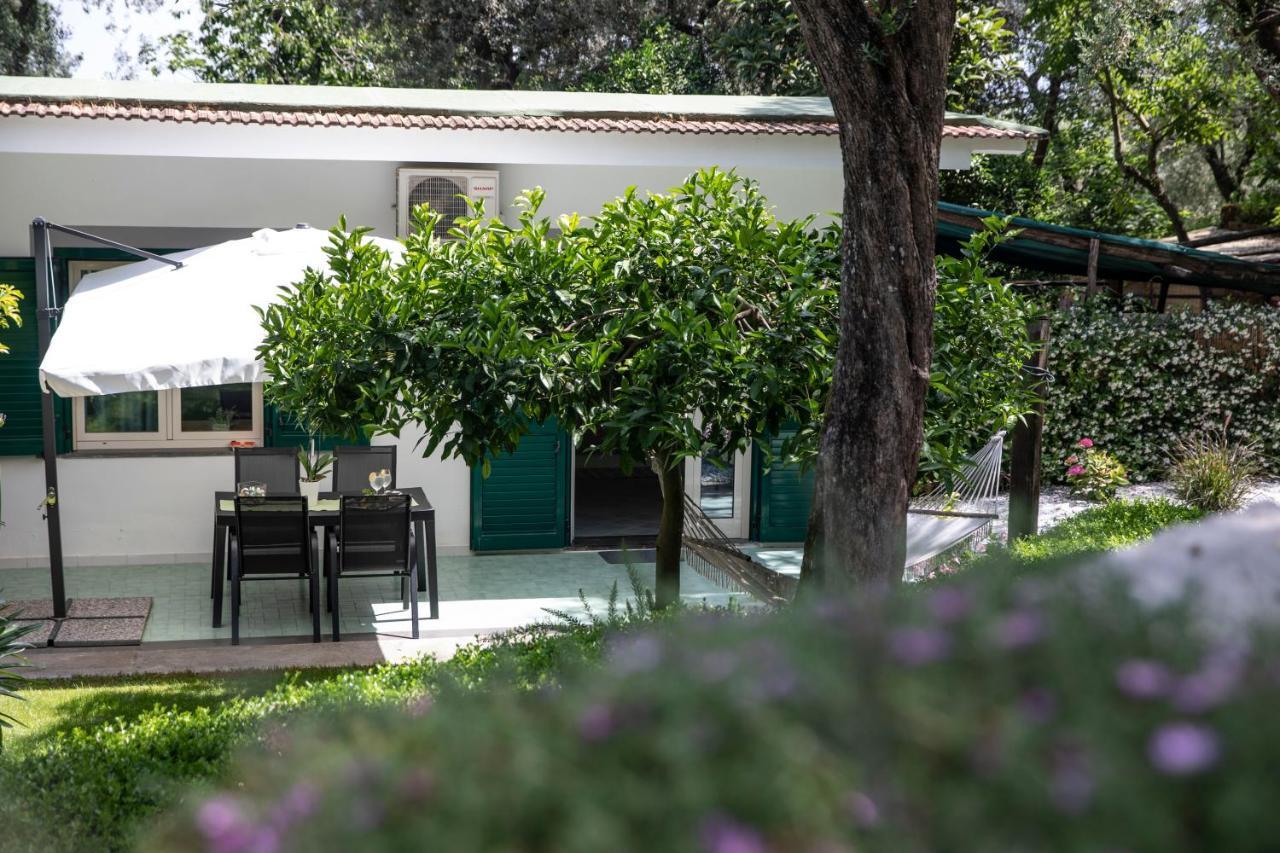 Casa Mary Family Apartment *