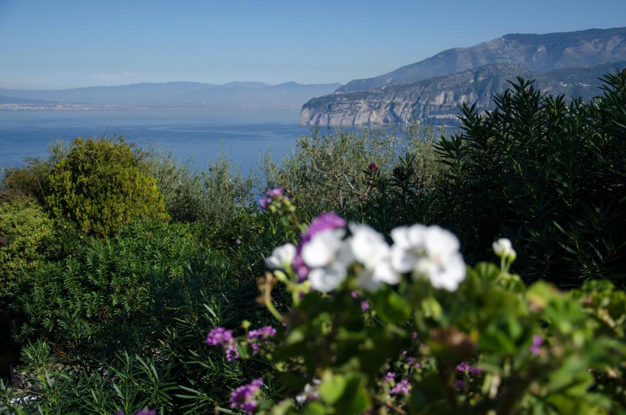 Grand Aminta Hotel