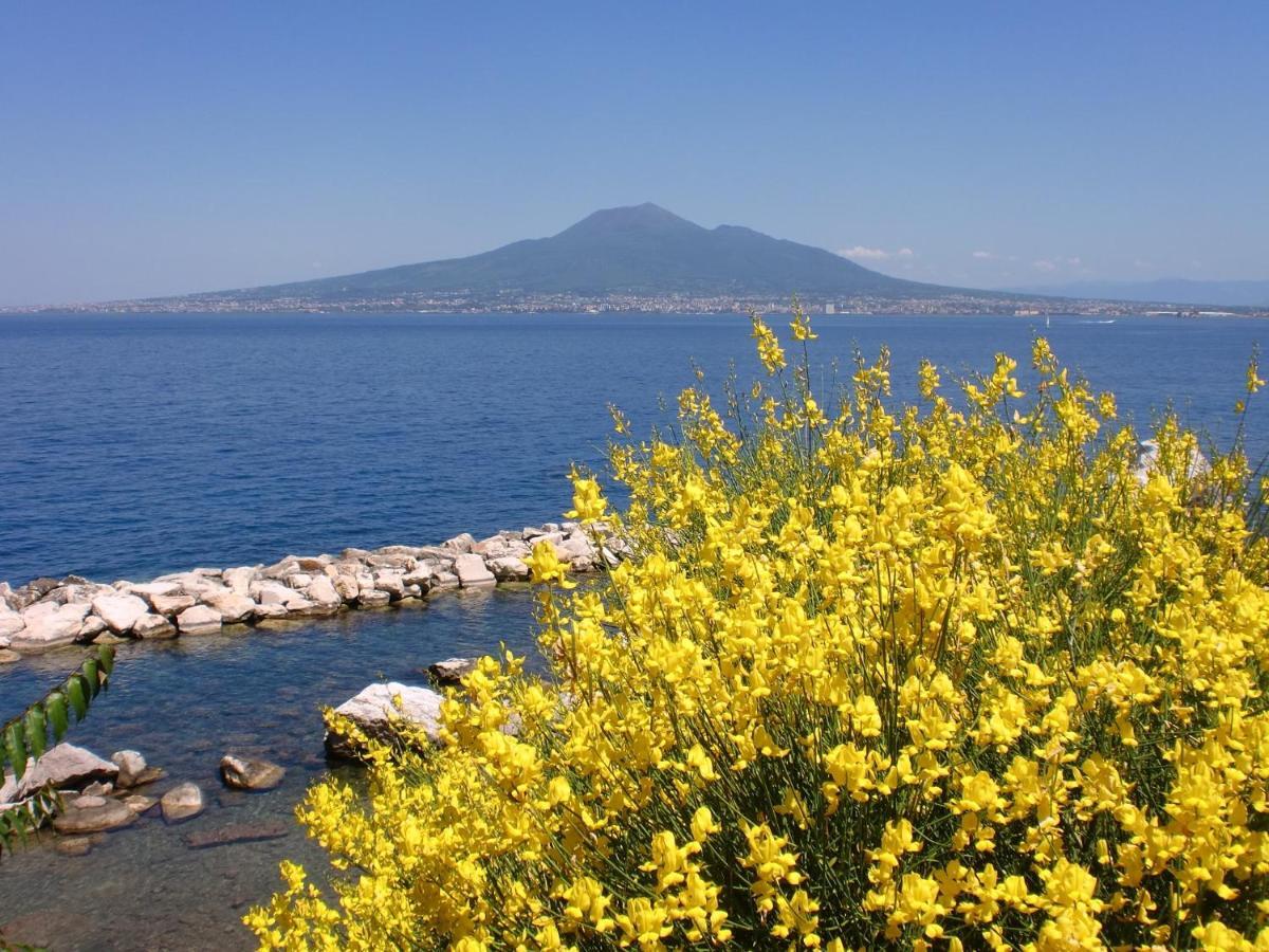 Esperidi Sorrento