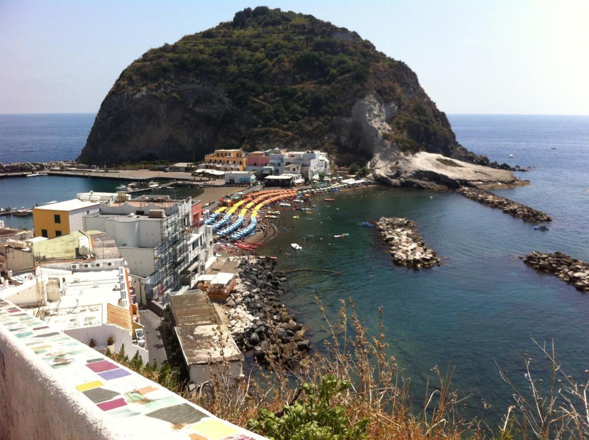Esperidi Sorrento