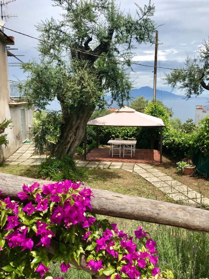 Garden Guest house Sorrento