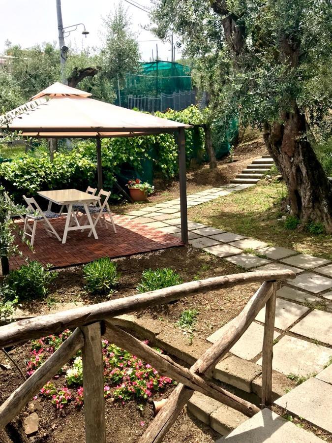 Garden Guest house *