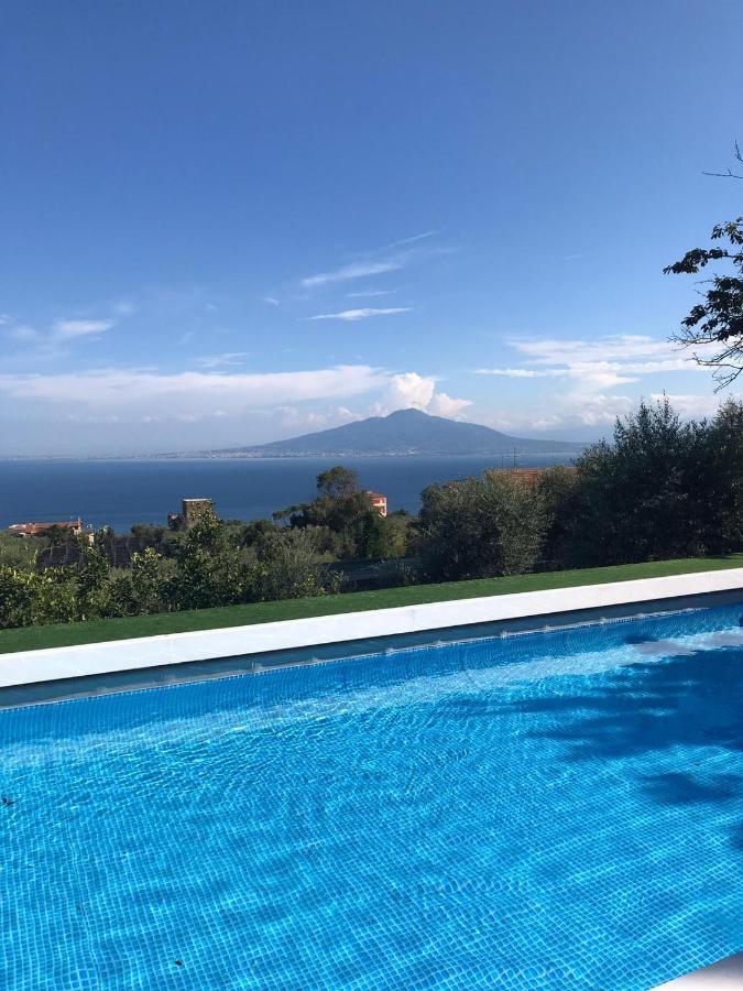 Olive Tree Garden Guest house Sorrento