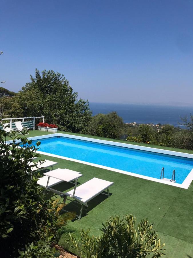 Olive Tree Garden Guest house Sorrento