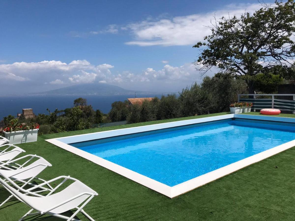Olive Tree Garden 2*