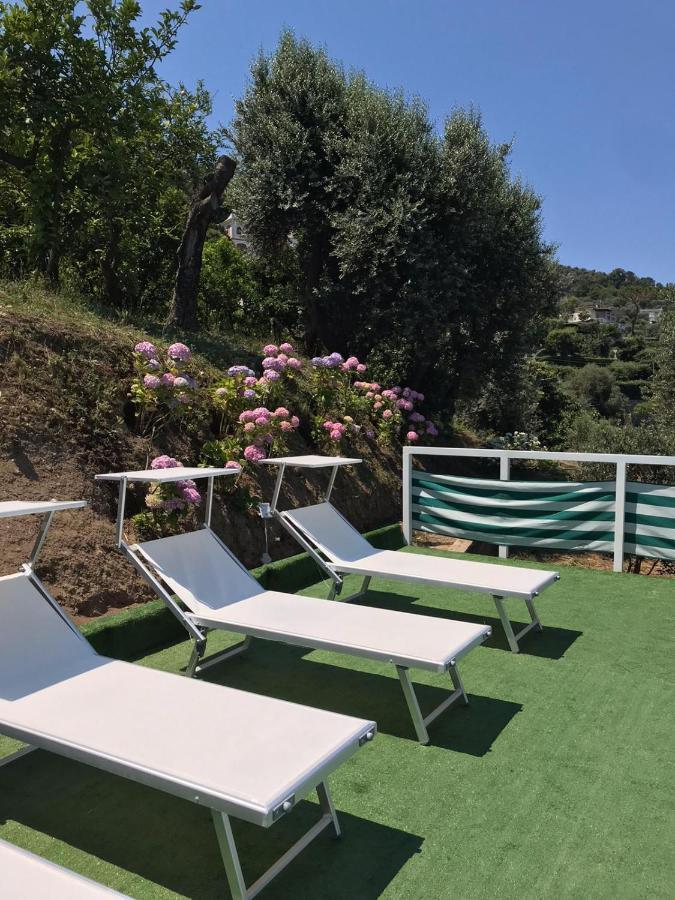 Garden Guest house *