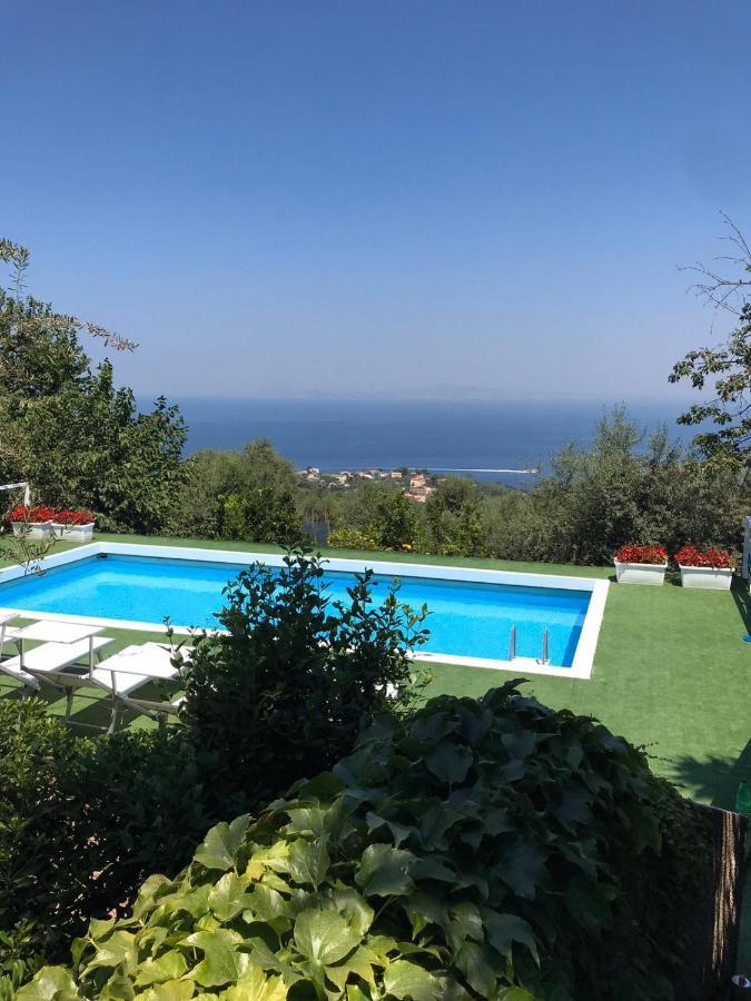Garden Guest house