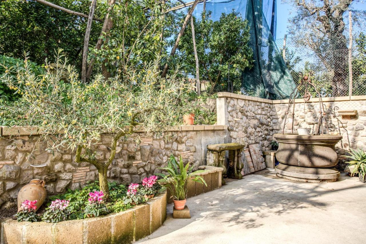 Golden Lemon - Modern House In Countryside * Sorrento