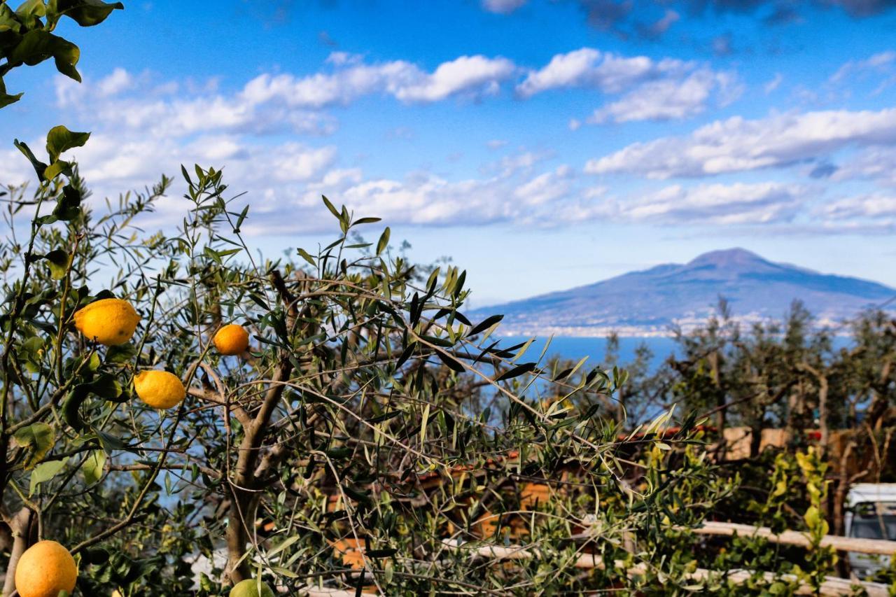 Il Cacciatore Holiday home