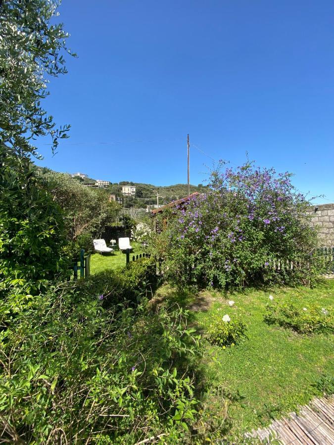 Lidia Bed & Breakfast 3*