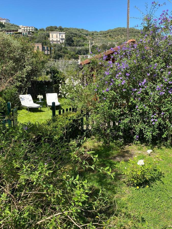 Lidia Sorrento
