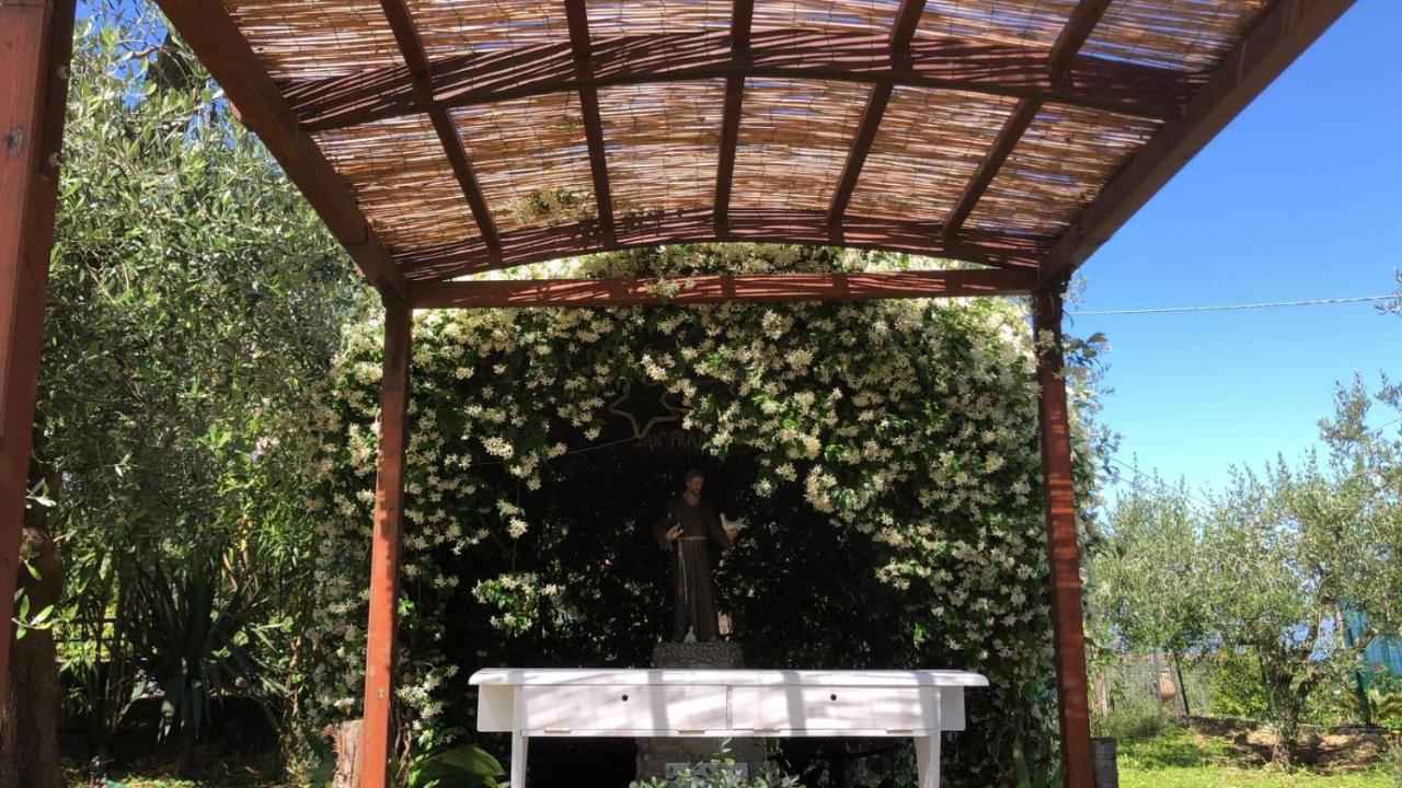 Oasi Madre Della Pace Bed & Breakfast Sorrento