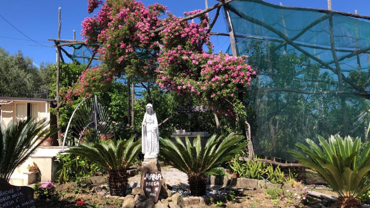 Oasi Madre Della Pace Bed & Breakfast