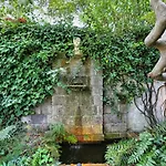 Amore Rentals - Villa Sofia