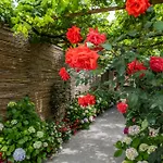 Villa La Natura X6 With Garden And Free Private Parking