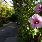 Residence Villaggio Verde
