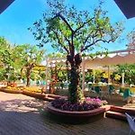 Hotel Girasole