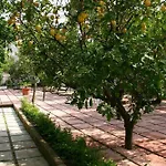 Villa Alviani Anna