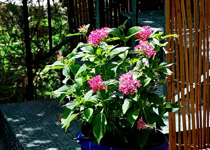 Nonna Pia\'S House