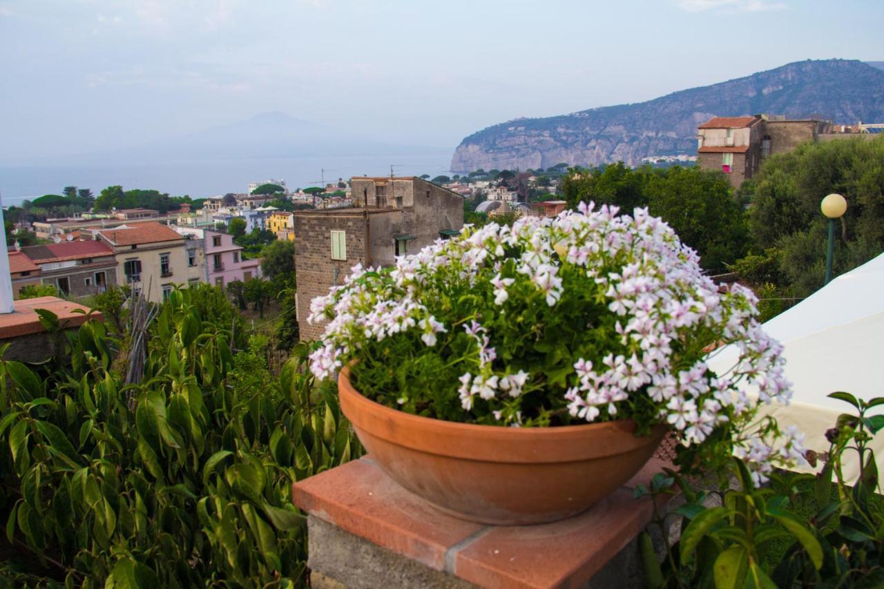 Shanti - Restaurant Di Aversano Salvatore